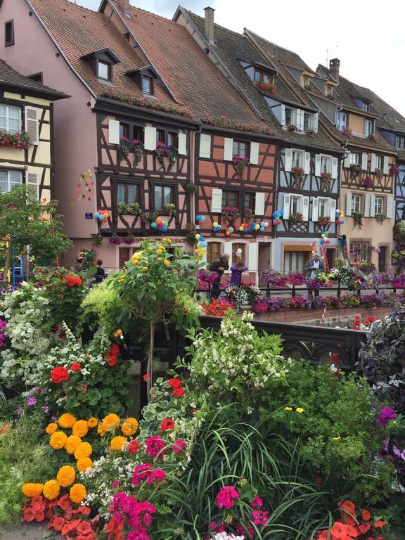 Les Appartements De Home Petite Venise Colmar Exterior foto